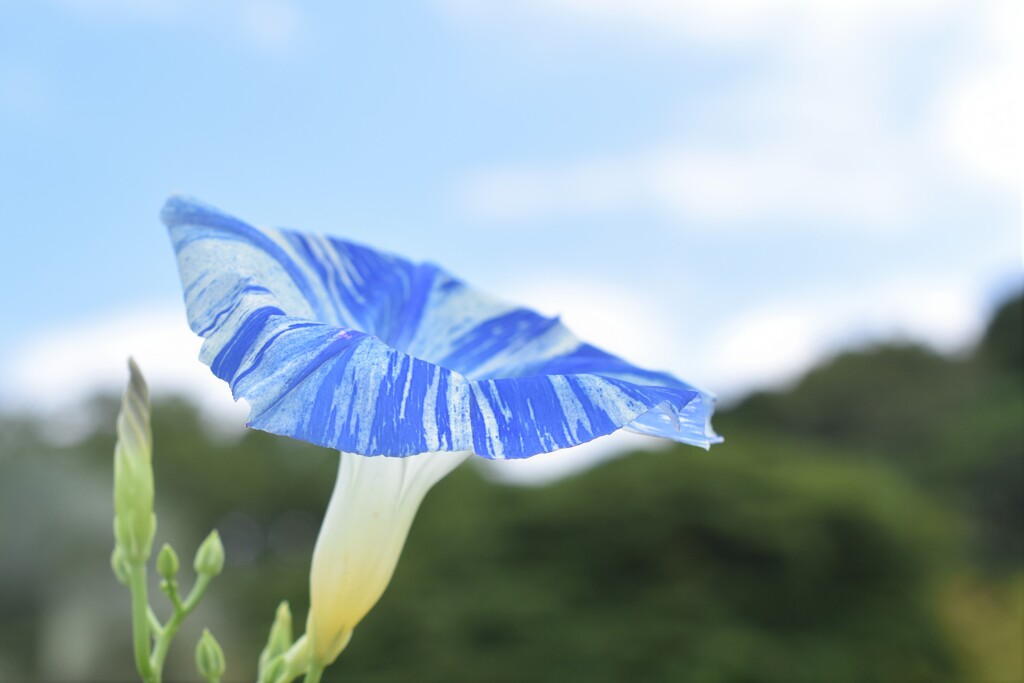 涼色