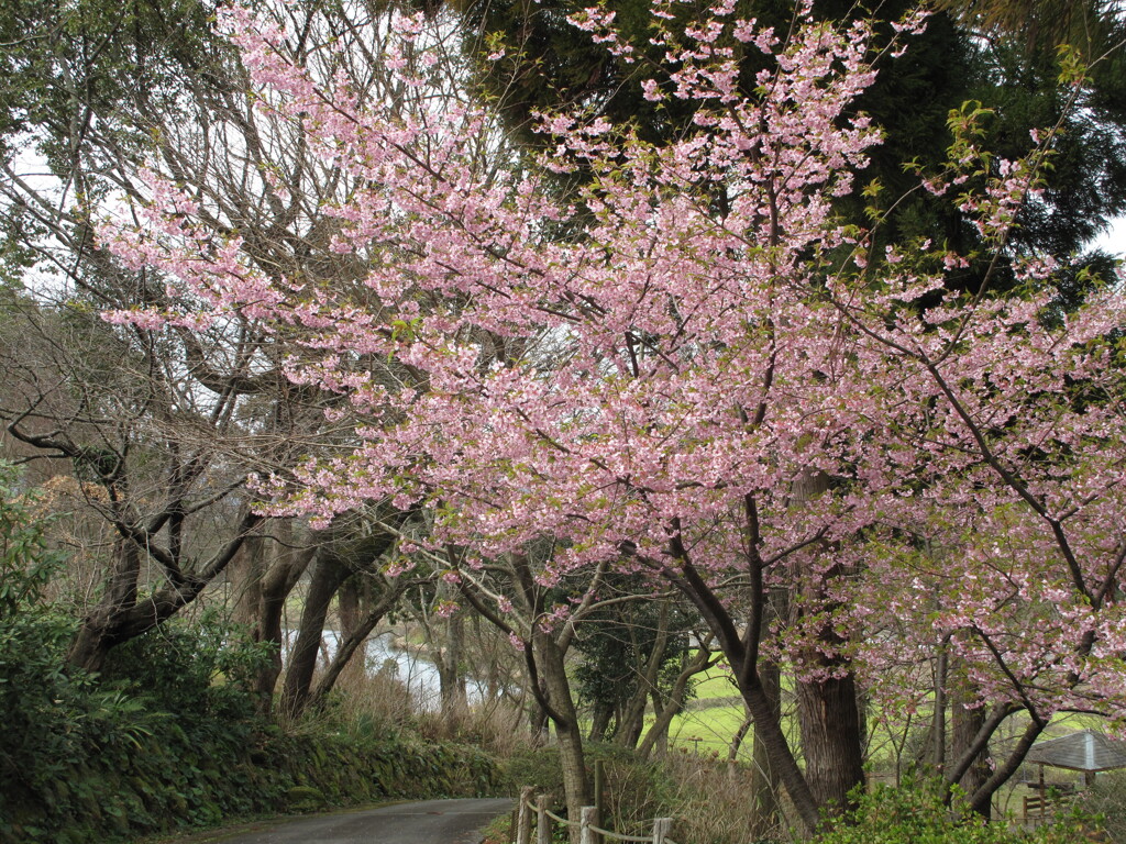 道