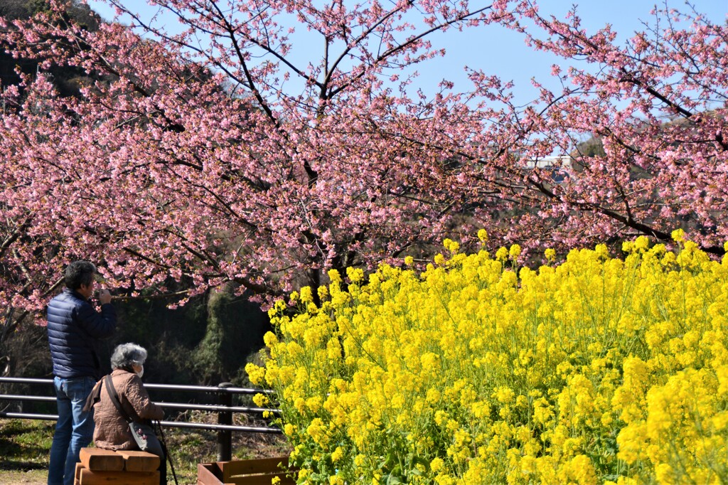 大切な時間