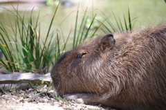 こんな日もいい