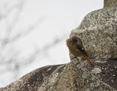 わたしも寒いけど・・・