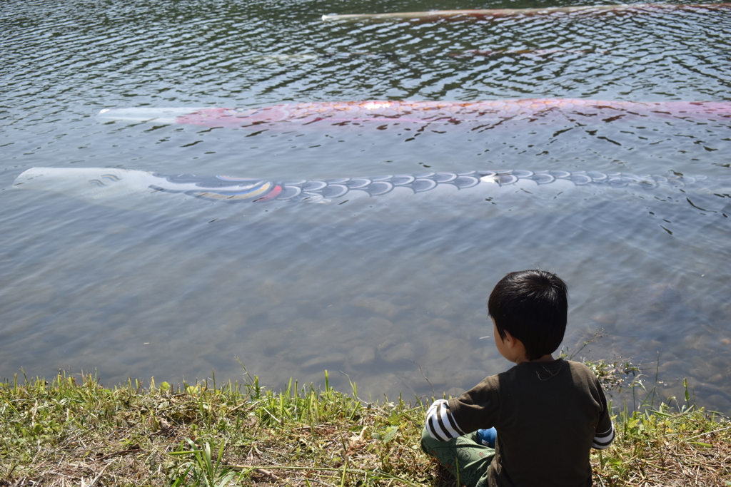 しっかりおよげ