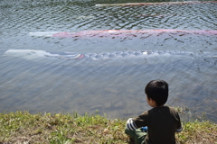 しっかりおよげ