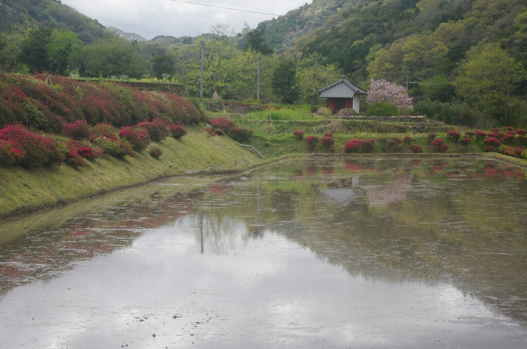 里山の水ぬるむ