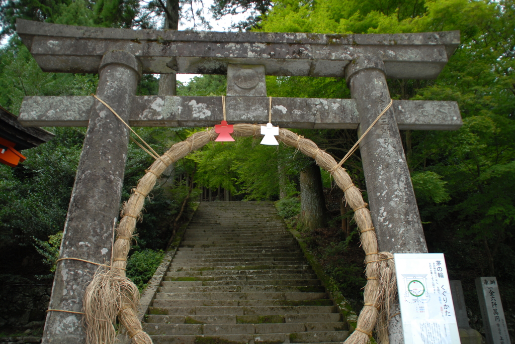 茅の輪の向こう