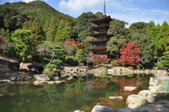 瑠璃光寺景（1）