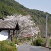 春の駅に向かう