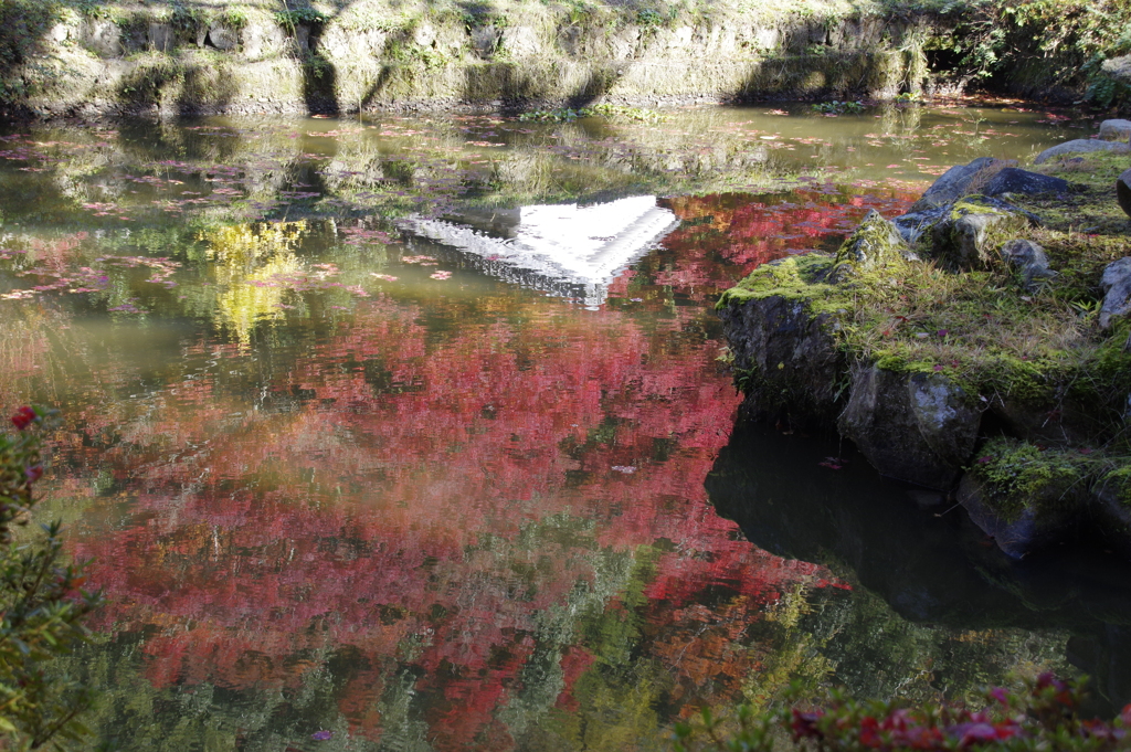 溶け込む秋