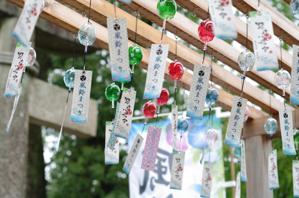 風雨に揺れ