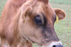 なかなか、イケてるでしょう