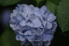 多彩（2）