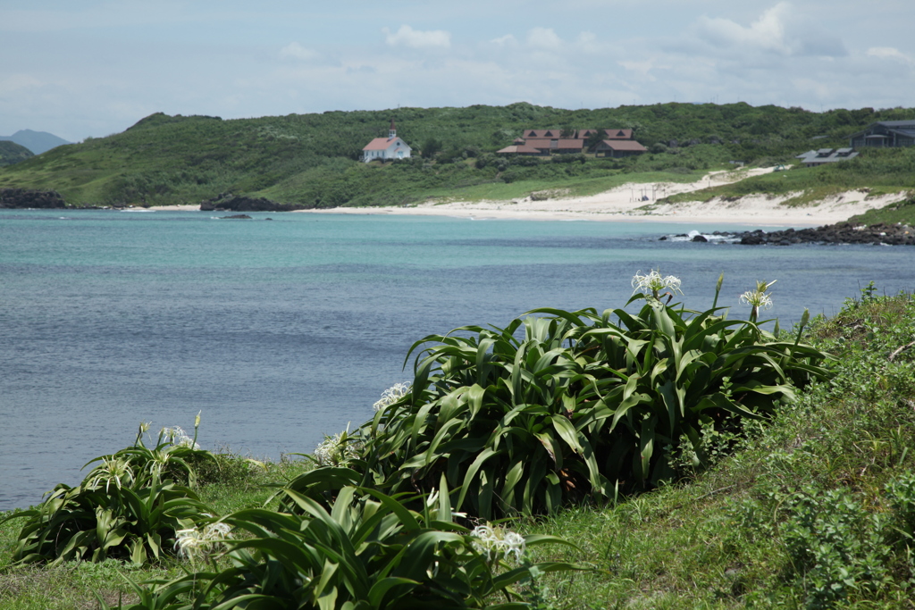 夏景色
