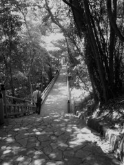 石畳の参道（2）