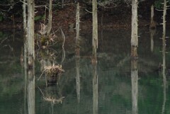静寂