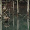 静寂