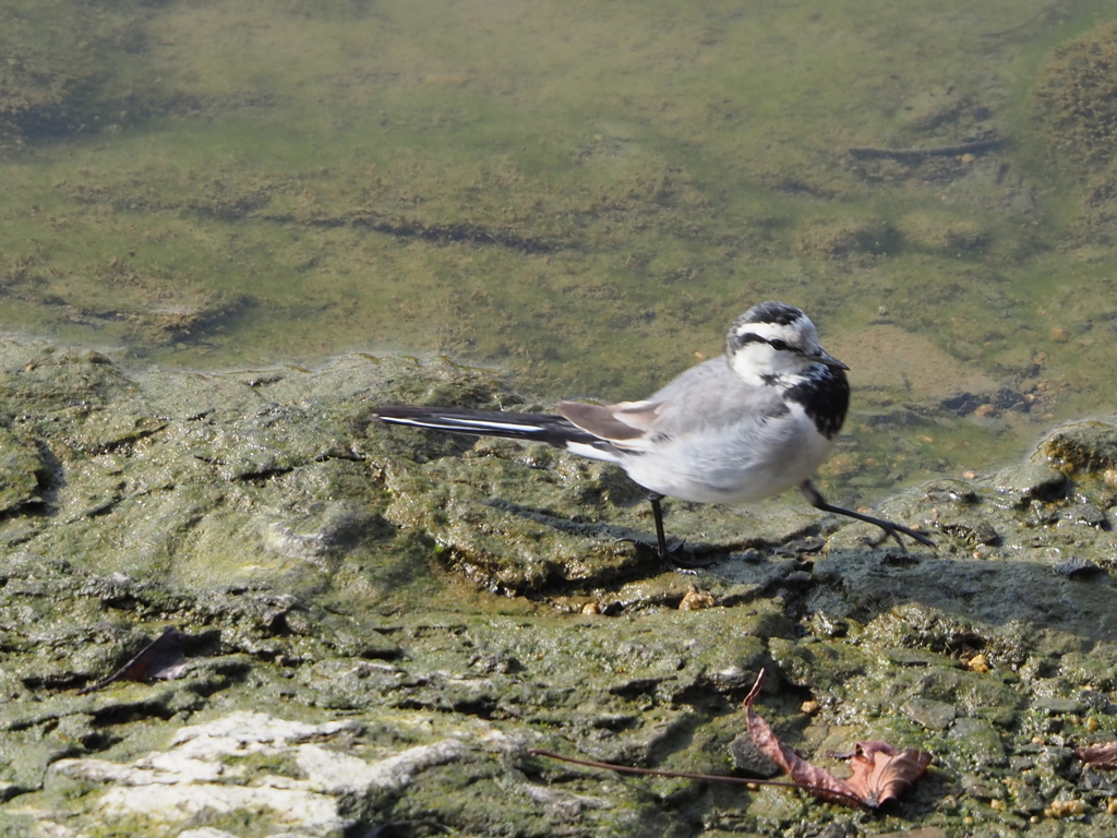 君、足長いねぇ
