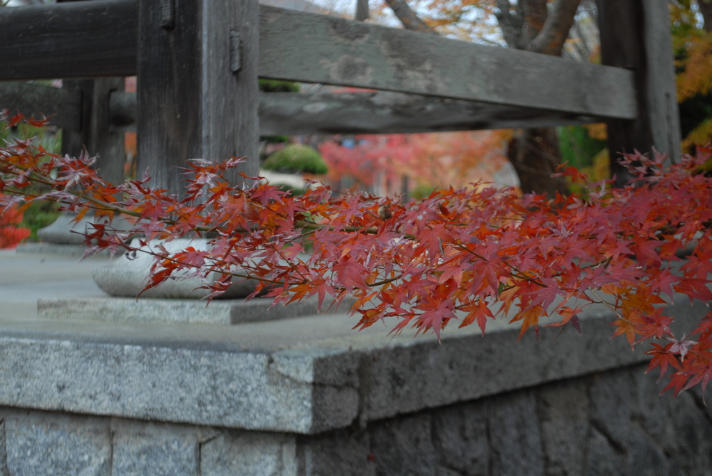 一歩一景（12）