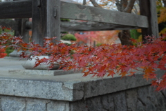 一歩一景（12）