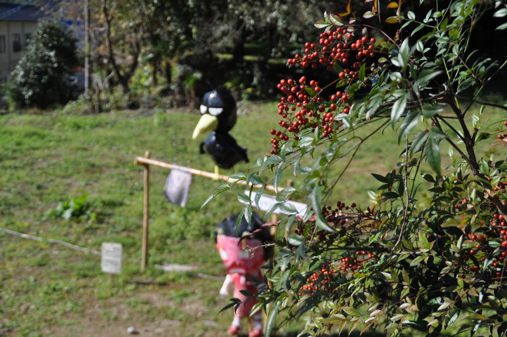 こんなところにも