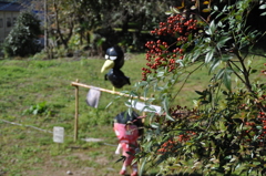 こんなところにも