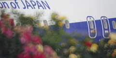 空港に薔薇を撮りに行こう2025