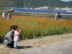 小ちゃな名カメラマン