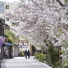 桜咲く道で