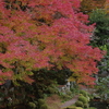 堀庭園から（2）