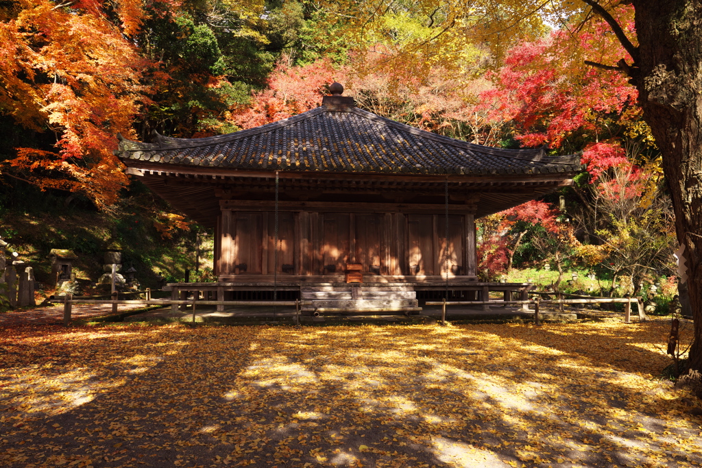 晩秋の富貴寺大堂（1）