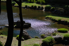 風紋