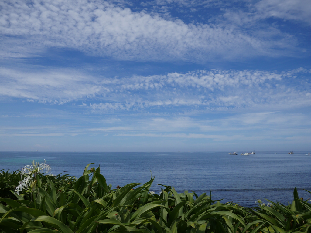 ７月の浜辺