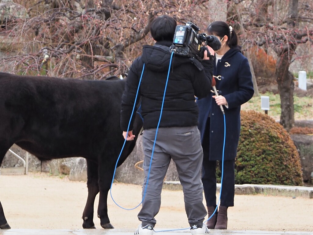 取材で僕は、忙しい