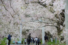 みあげてごらん