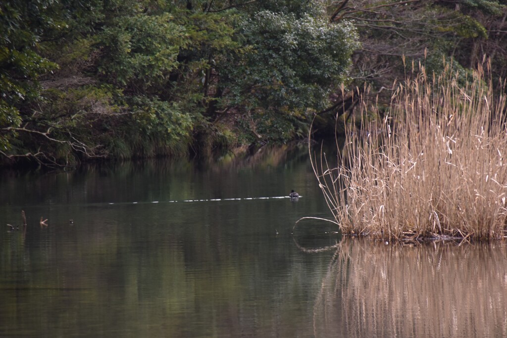 一歩一景（34）