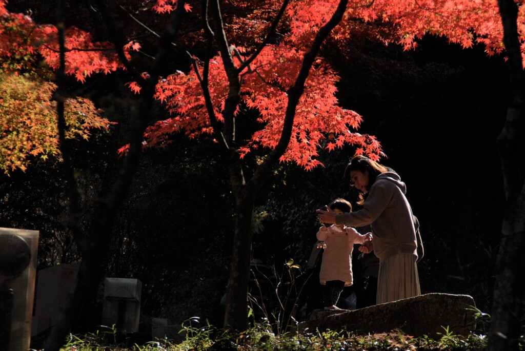 紅の下で