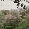 桜山から