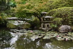  静穏