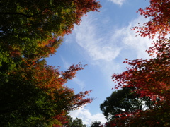 気まぐれな秋空に