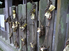 筥崎宮にて（2）