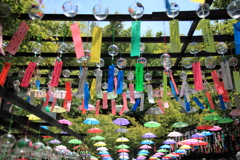 風鈴寺で願いを込めて