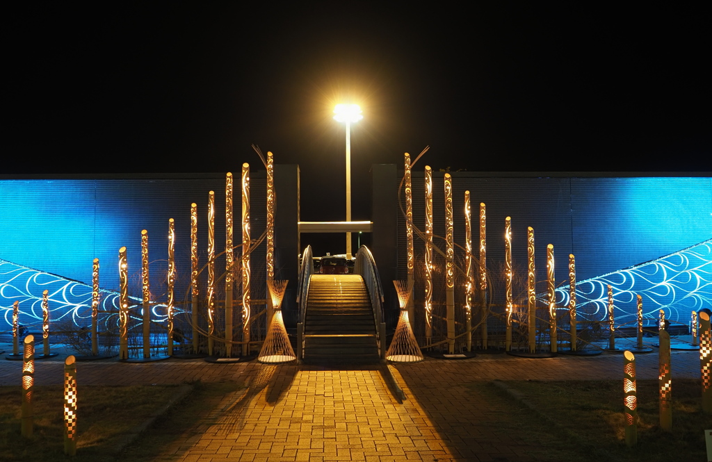 bamboo light 