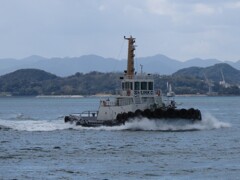 海峡のタグボート