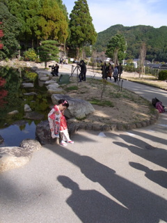 囲まれて