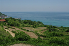 荒れていくのか