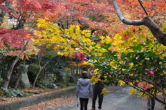 参道