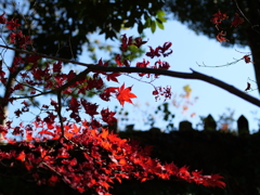 静かな紅