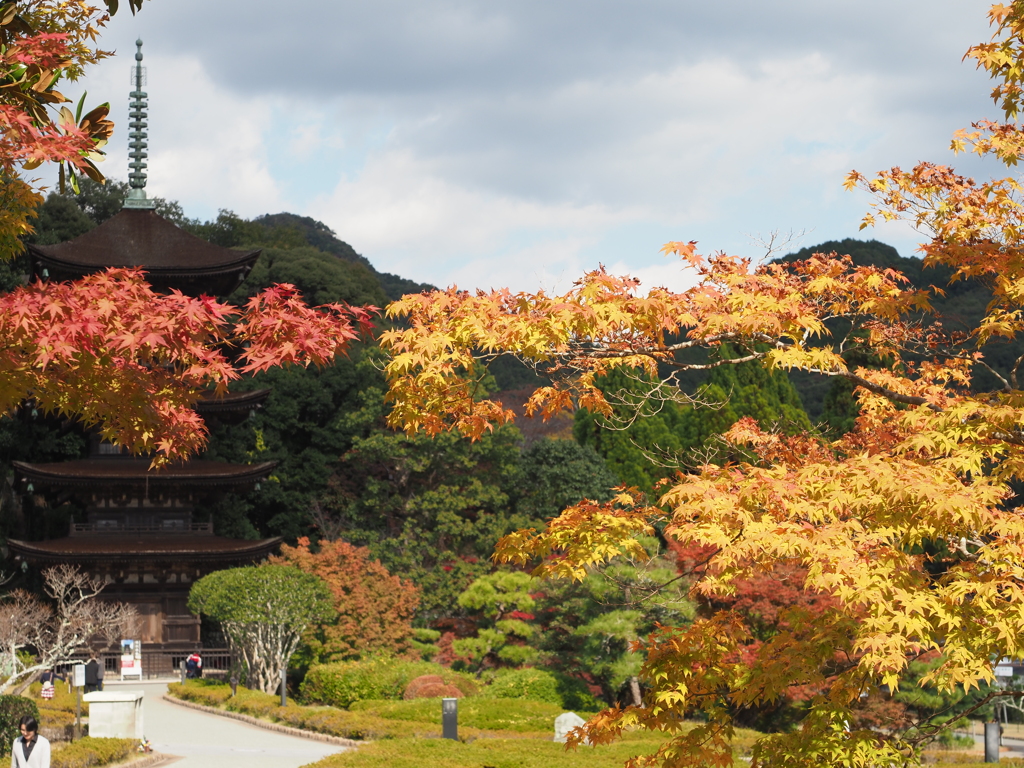 瑠璃光寺から（2）