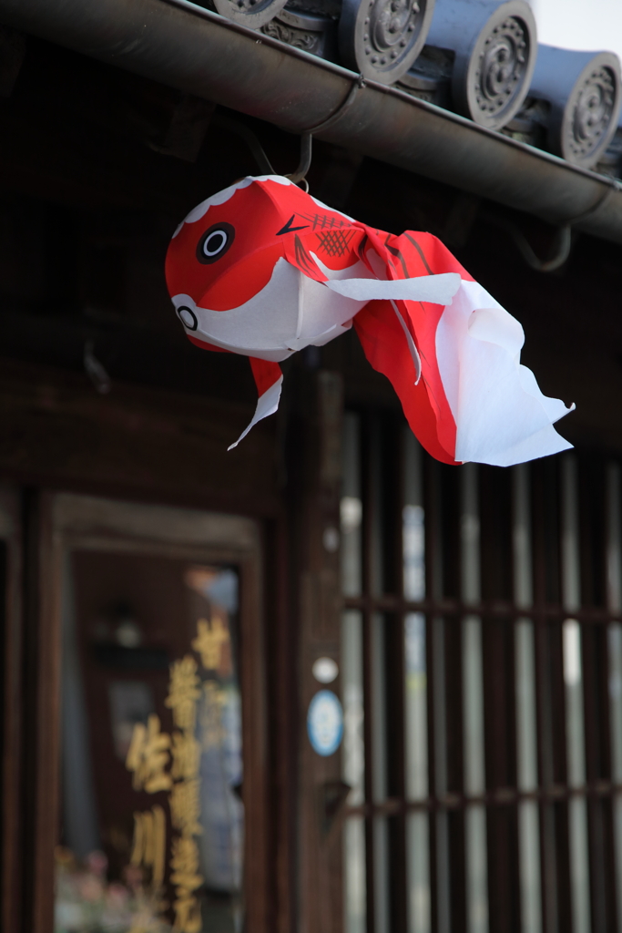 軒下（金魚のいる街で）