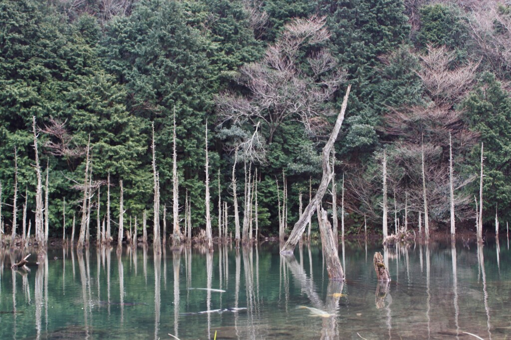 一歩一景（30）