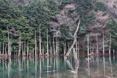 一歩一景（30）